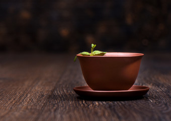 Mint leaves on a cup of tea