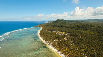 Aerial view of tropical beach on the island Siargao, Philippines. Beautiful tropical island with sand beach, palm trees. Tropical landscape: beach with palm trees. Seascape: Ocean, sky, sea