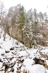 Slovakia national park Mala Fatra, Janosikove diery, path in the forest, snow and winter.