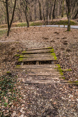 Fototapeta premium Kosutnjak , is a park-forest and urban neighborhood of Belgrade, the capital of Serbia.