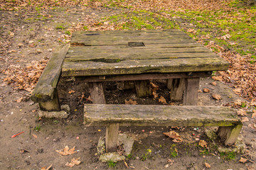 Fototapeta premium Kosutnjak , is a park-forest and urban neighborhood of Belgrade, the capital of Serbia.