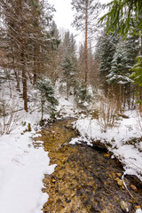 Slovakia national park Mala Fatra, Janosikove diery, path in the forest, snow and winter.