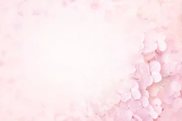 Foto auf Acrylglas Hortensie Summer blossoming hydrangea, flower bokeh background, pastel and soft floral card