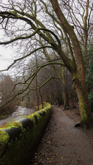 A photo of the deserted Water of Leith Trail in Edinburgh, Scotland. The shot was taken in January 2018