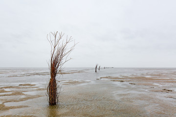 Nordsee Watt bei Ebbe