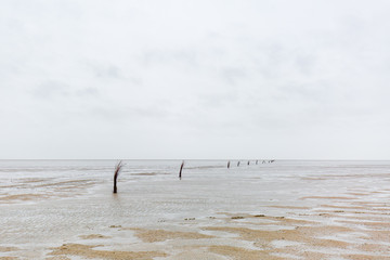 Nordsee Watt bei Ebbe