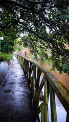 A shot of the Water of Leith river and trail. The shot was taken in January 2018