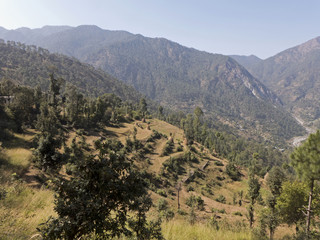 Fototapeta premium Landwirtschaft an den Berghängen im Norden Indiens, im Hintergrund die ersten Berge des Himalaya