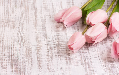 beautiful tulips on wooden background