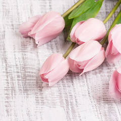 beautiful tulips on wooden background