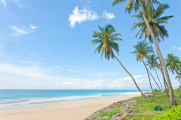 Naklejka na ściany i meble Balapitiya Beach, Sri Lanka - Calming down at the deserted beach of Balapitiya