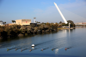 Rudertraining auf dem Altarm des Guadalquivir