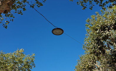 Lampes suspendues entre les arbres avec ciel bleu