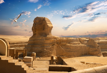 Fototapeta na wymiar Sphinx and Giza
