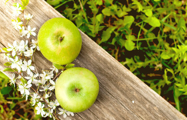 green apples and flowering branch on a wooden background, spring, sunny garden, concept of spring