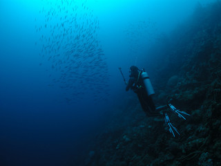 Naklejka na ściany i meble Bonaire scuba diving 
