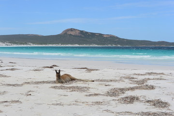 Beach Time