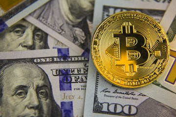 Coins golden  bitcoin of the dollar