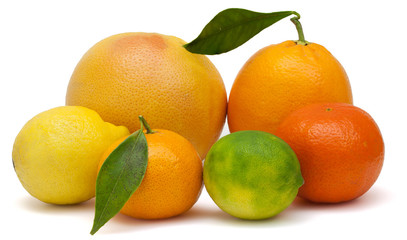 agrume, pamplemousse, citron jaune, citron vert, mandarine, clémentine, orange