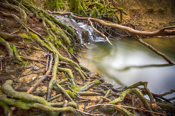 Creek in forest near Siljakovina, Croatia