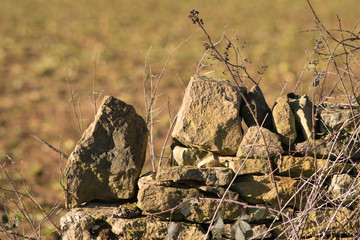 Dry stone wall in the Cotswolds UK