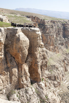 Botan Valley, Siirt,Southeastern Anatolia.Turkey