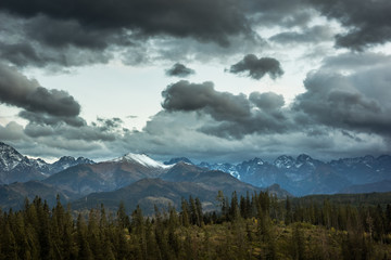Obraz premium Panorama Tatra mountains from glade Glodowka, Bukowina Tatrzanska, Poland
