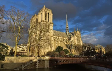 Fotobehang Notre Dame van Parijs © jjfoto