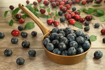 Borówka amerykańska w miedzianym rondelku na tle czerwonej żurawiny