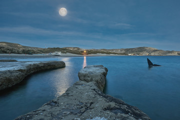 Whale hour © Ariel Tur