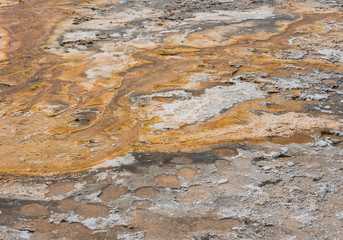 Close Up of Orange Residue  From Hot Spring