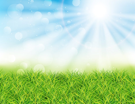 Spring or summer sunny day vector illustration. Green grass, rays of sun and bokeh
