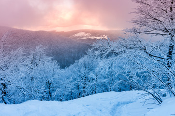 Winter mountains panorama in snow, sunset, Bieszczady, Poland © tomeyk