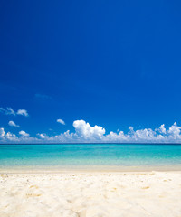 beach and tropical sea