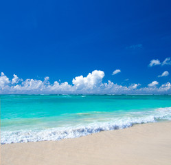 beach and tropical sea