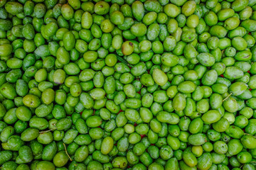 Green olives, fresh and raw.