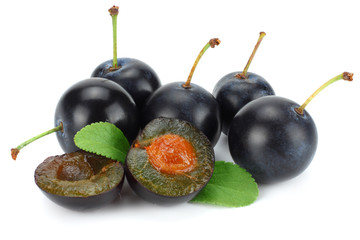 blackthorn berries with green leaf isolated on white background