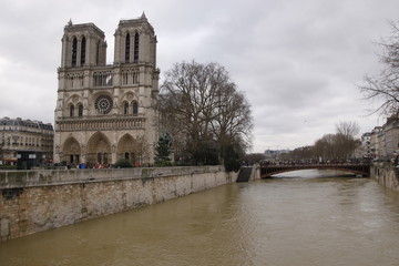Fototapeta na wymiar Crue de la Seine, Notre Dame, île de la Cité à Paris