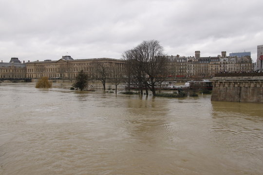 Square du Vert Galant sous l'eau, crue de la Seine à Paris	