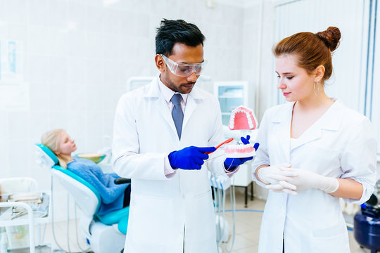 Two Dentist showing jaw model in clinic