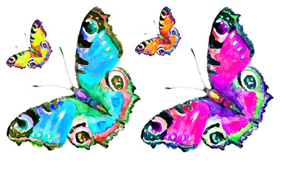 Fototapeta premium beautiful butterfly,watercolor, isolated on a white