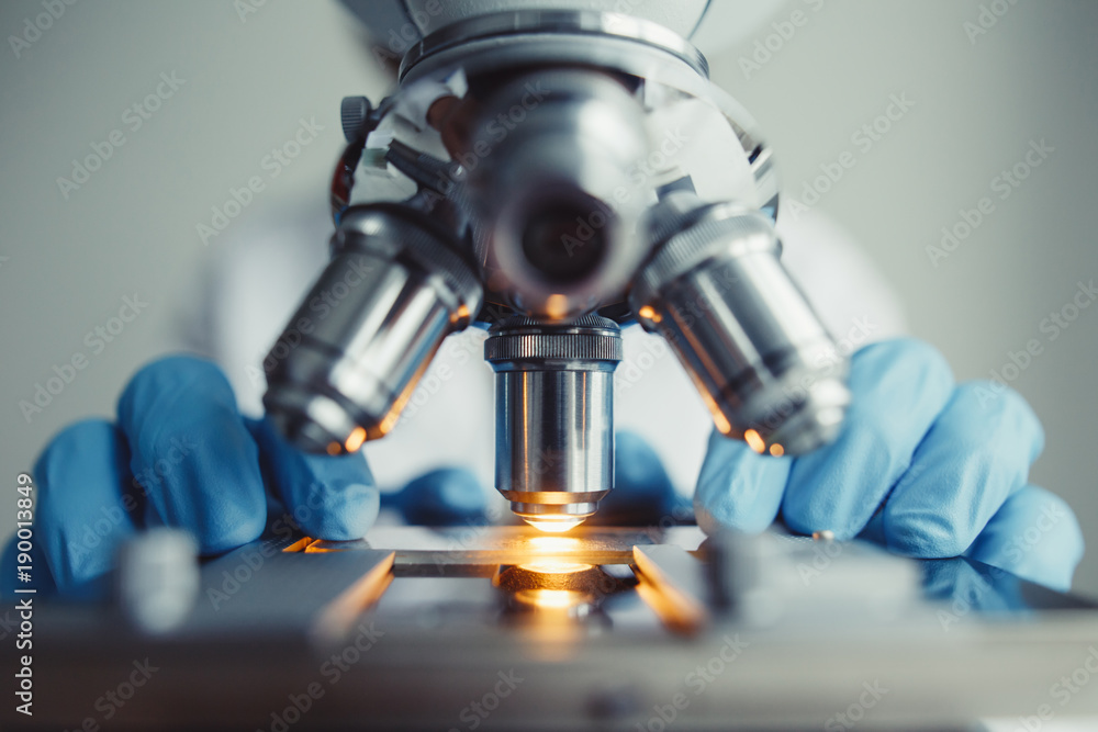 Wall mural close up of examining of test sample under the microscope in laboratory.