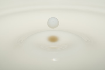 milk drops in milk - falling drop