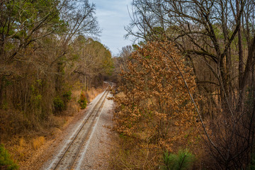 Obraz premium Aerial View of Railroad through the Forest 