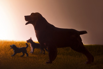 Dogs' silhouettes with sunset background.