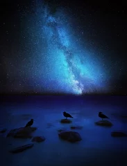 Foto op Canvas Nachtelijke hemel met melkweg over de kust met rotsen en rustende vogels © milosz_g