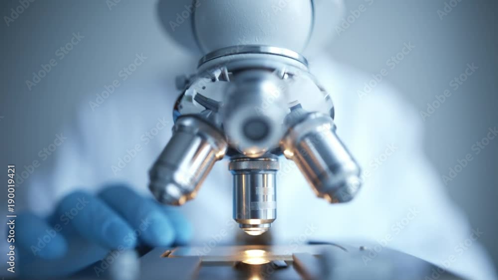 Wall mural close up of examining of test sample under the microscope in laboratory.