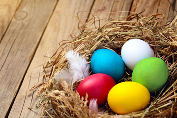 Colorful easter eggs.Colored chicken eggs in nest with white feather.On wooden background.Copy space.Easter background. Copy space