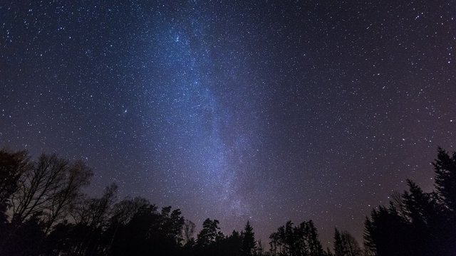 Beautiful night sky with Milky Way