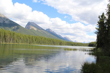 Fototapeta na wymiar Honeymoon Lake, Jasper National Park, Alberta
